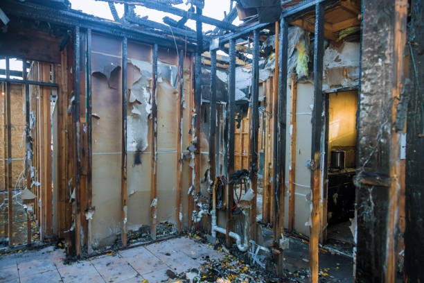 Professional Fire Damage Removal technician working in Pembroke Pines, FL